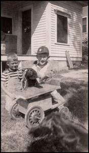 1946.W&Cw-DogsWP
