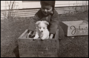 1947.AC&PupPhilaBoxWP