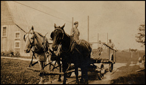 1918(?)Harrisw-wagon&horsesWP