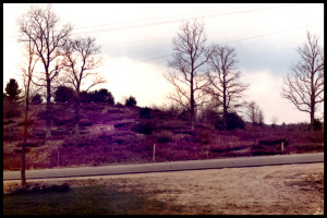 1981-OaksAcrossTheRoad-Spring@72